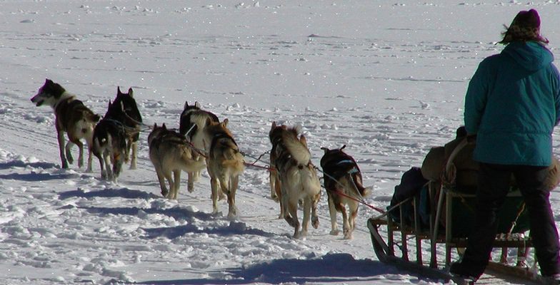 Lake Placid Dogsledding | Family Adventures - MiniTime